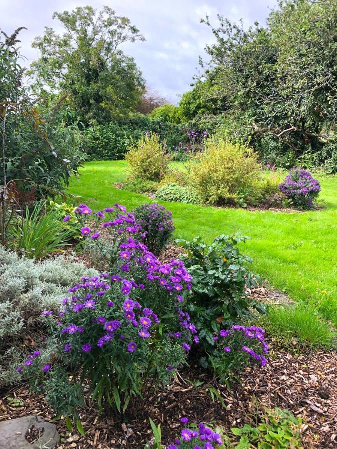 Dingle Garden Townhouse Bed and Breakfast Εξωτερικό φωτογραφία The gardens at the centre