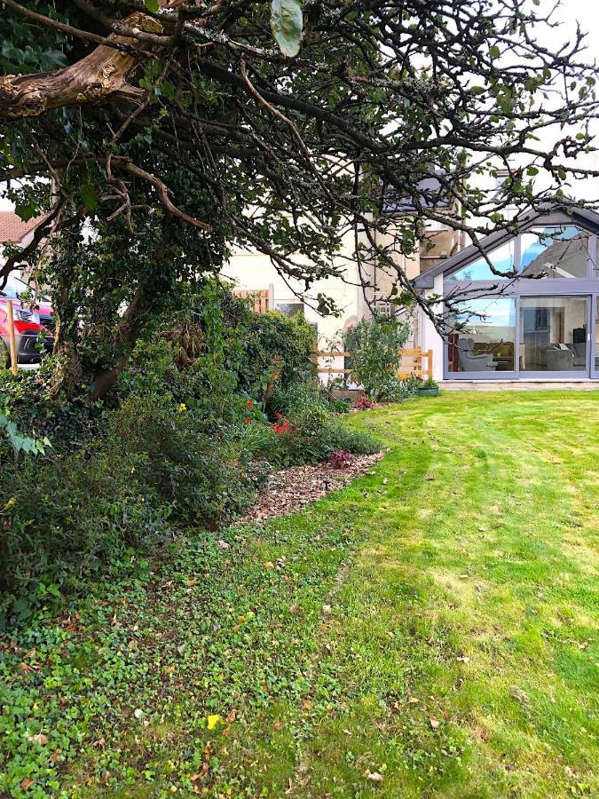 Dingle Garden Townhouse Bed and Breakfast Εξωτερικό φωτογραφία The garden of the house