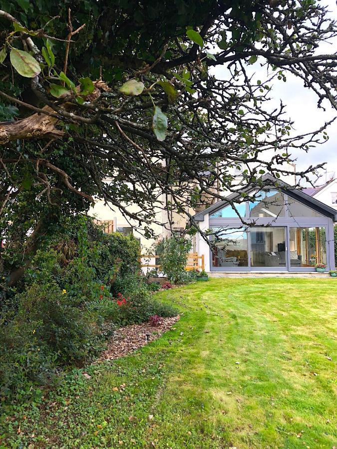 Dingle Garden Townhouse Bed and Breakfast Εξωτερικό φωτογραφία The garden of the house